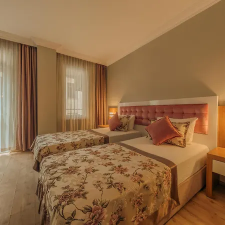 Novis Cleopatra 3*